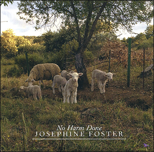 Josephine Foster | No Harm Done