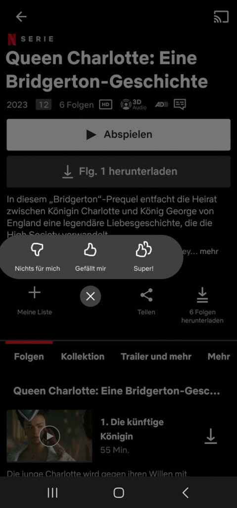 Video-Streamingdienste im Vergleichstest — Netflix App